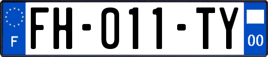 FH-011-TY
