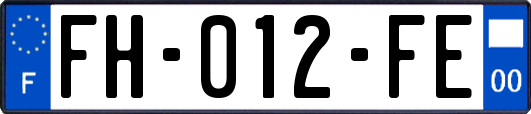 FH-012-FE