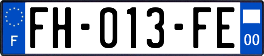 FH-013-FE