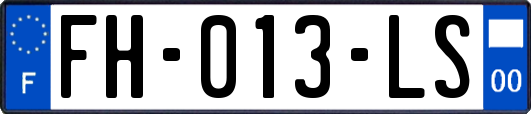 FH-013-LS