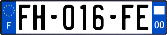 FH-016-FE