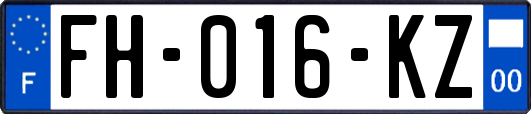 FH-016-KZ