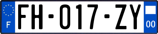 FH-017-ZY