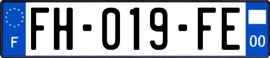 FH-019-FE