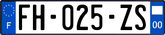 FH-025-ZS