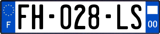 FH-028-LS