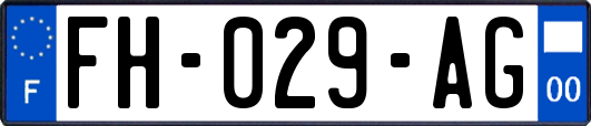 FH-029-AG