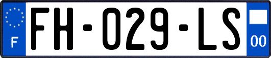 FH-029-LS