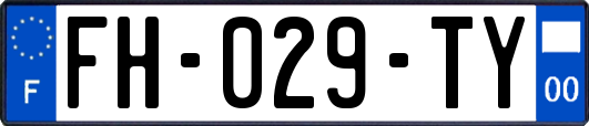 FH-029-TY