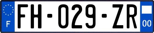 FH-029-ZR