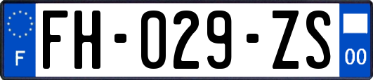 FH-029-ZS