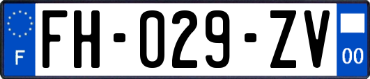 FH-029-ZV