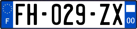 FH-029-ZX