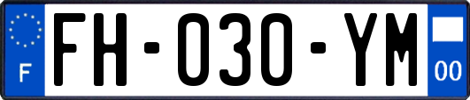 FH-030-YM