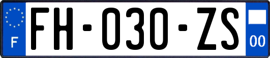 FH-030-ZS