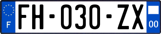 FH-030-ZX