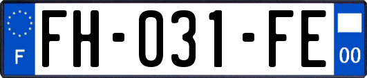 FH-031-FE