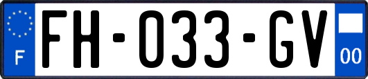 FH-033-GV