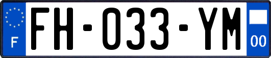 FH-033-YM
