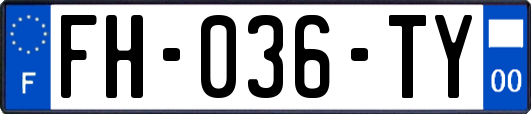 FH-036-TY
