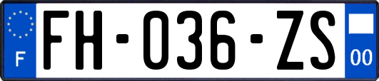 FH-036-ZS