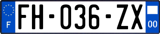 FH-036-ZX