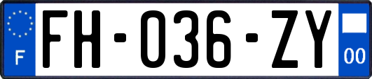 FH-036-ZY