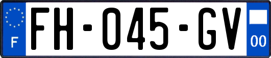FH-045-GV