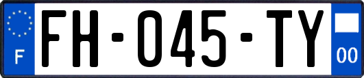 FH-045-TY