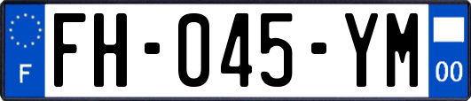 FH-045-YM