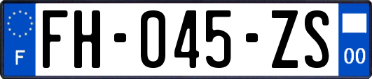 FH-045-ZS