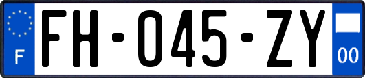 FH-045-ZY