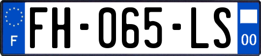 FH-065-LS