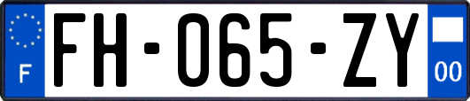 FH-065-ZY