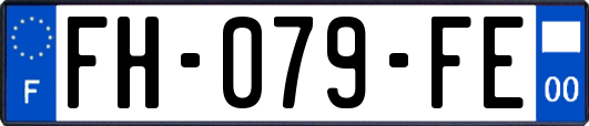 FH-079-FE