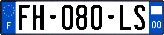 FH-080-LS
