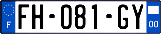 FH-081-GY