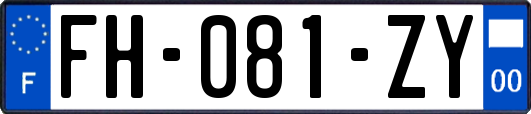 FH-081-ZY