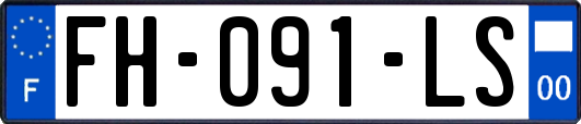 FH-091-LS