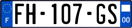 FH-107-GS