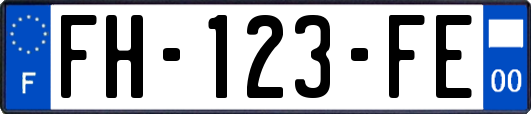 FH-123-FE
