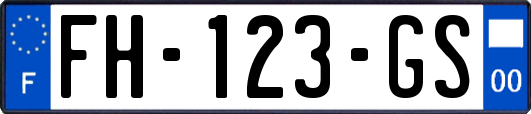 FH-123-GS