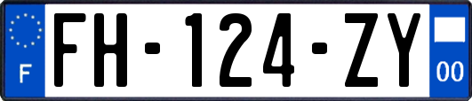 FH-124-ZY