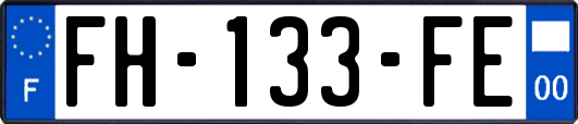 FH-133-FE