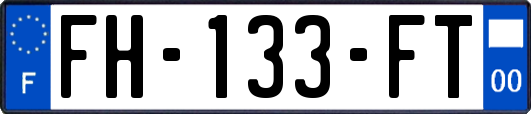 FH-133-FT