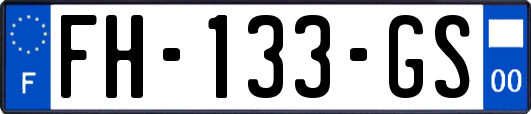 FH-133-GS