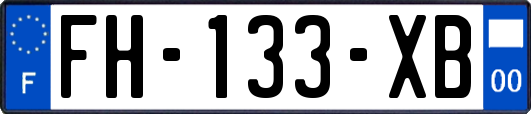 FH-133-XB