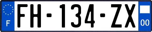 FH-134-ZX