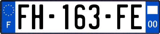FH-163-FE