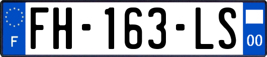 FH-163-LS